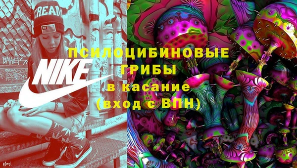 таблы Алзамай