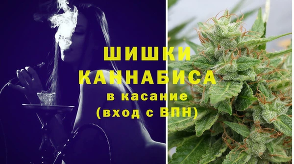 хмурый Надым