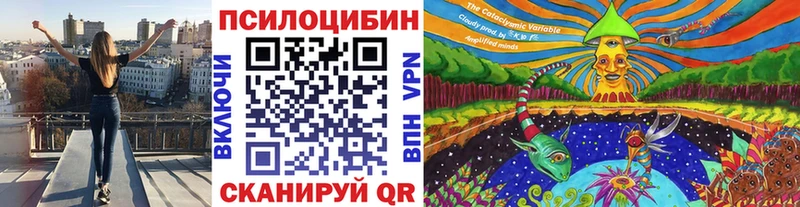 кракен tor  Каменногорск  Псилоцибиновые грибы Cubensis 