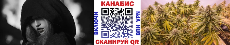 купить  сайты  Каменногорск  Конопля Amnesia 
